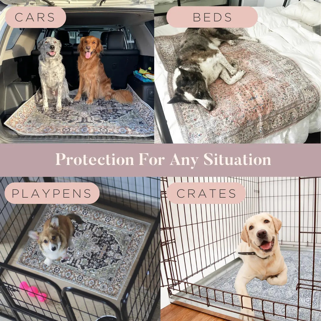 Lovewag Pets Washable Dog Pads - Set of 2, Eco-Friendly and Leak-Proof, Available in Multiple Designs: Sage Forest, Marmalade Sunshine, Moonlit Night, Rustic Terracotta, Sizes: 16" x 24", 36" x 48", and 28" x 41